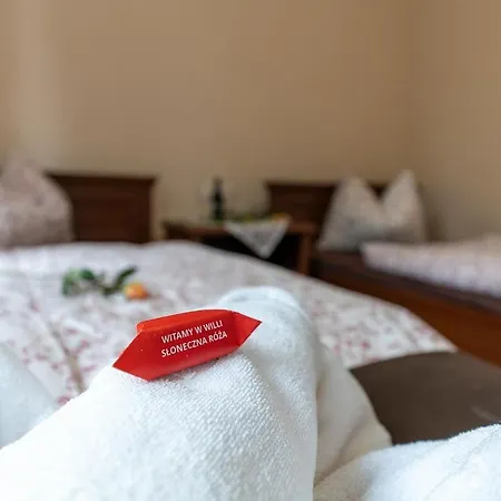Guest house Sloneczna Roza