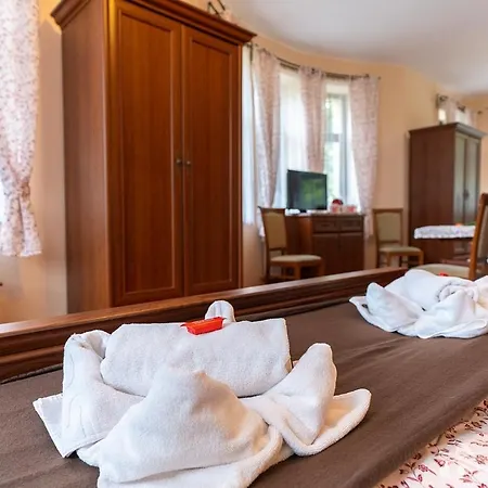 Sloneczna Roza Guest house *