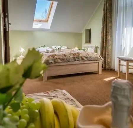 Sloneczna Roza Guest house *